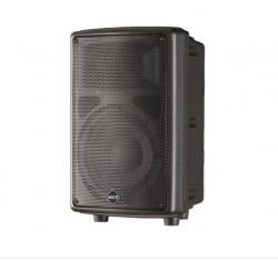 IX8H - IX12H - IX15H: Professional Loudspeaker